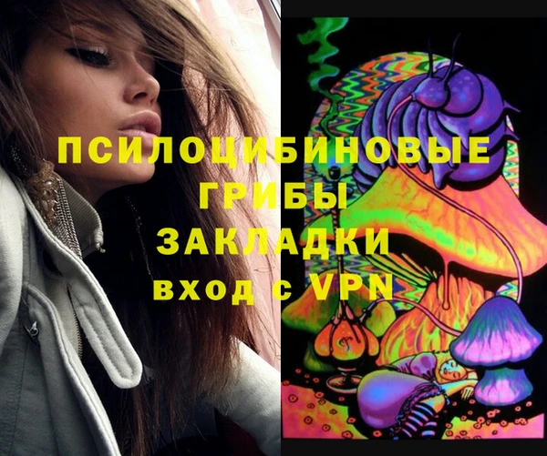 гидропоника Иннополис