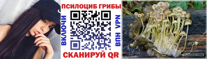 Псилоцибиновые грибы мухоморы  Купить где  Вольск 
