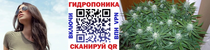 Канабис THC 21%  Купить закладки  Вольск 